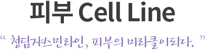 피부 Cell Line
