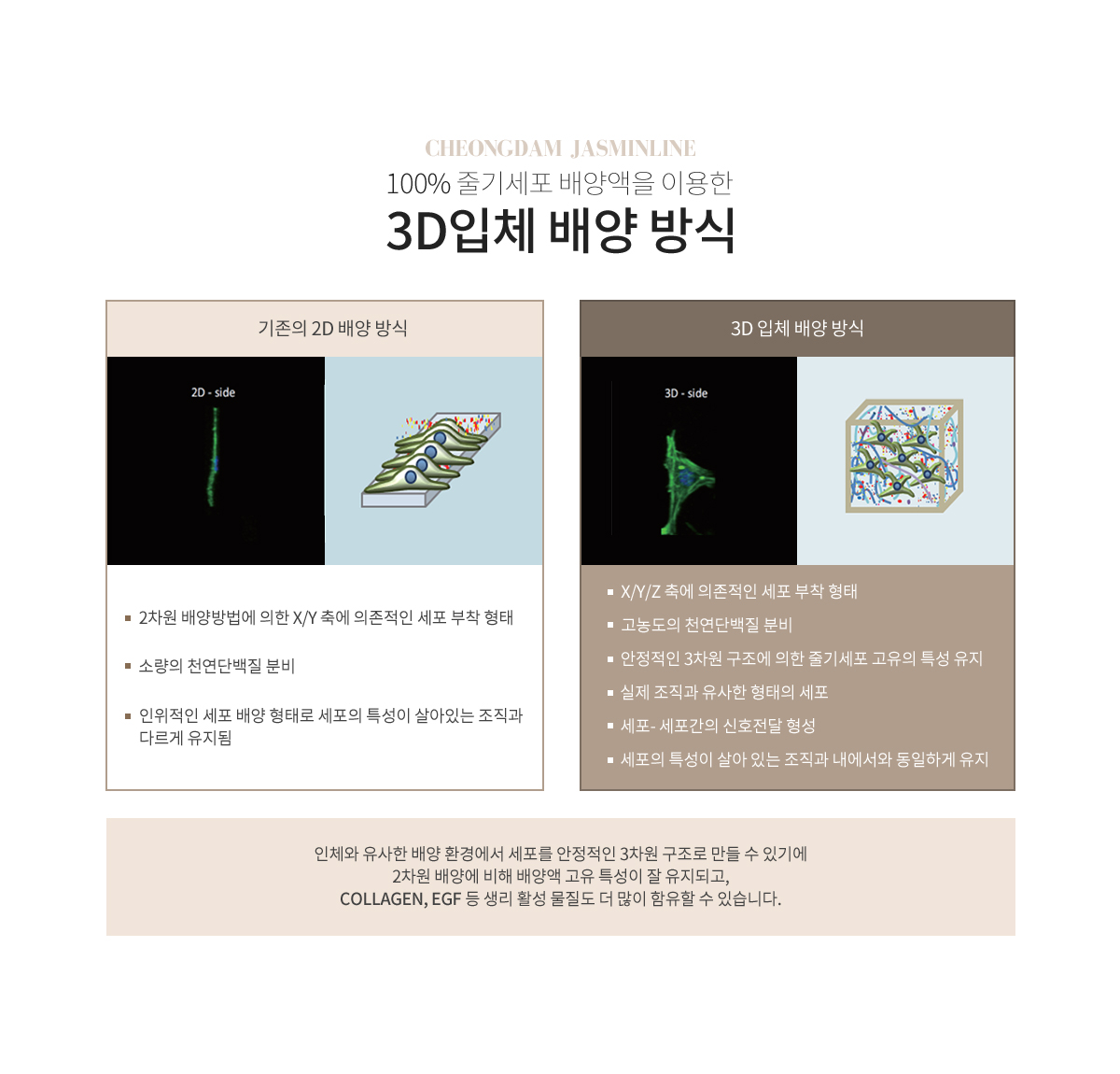 SCM2 줄기세포테라피