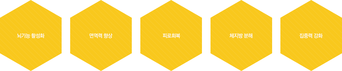 징코주사의 효과